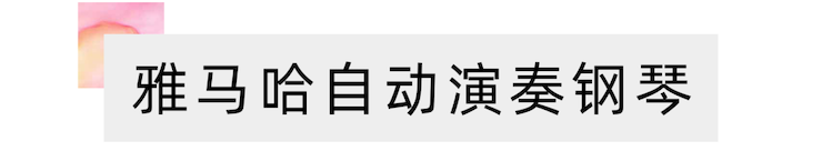 活动报道 | 远程艺术教育大师课活动——热博特邀艺术家张奕明大师课